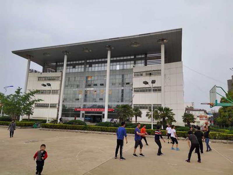 新沂武术馆：传承与创新并重的传统运动